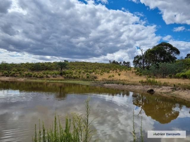 Cottage for sale in Tooborac, Victoria