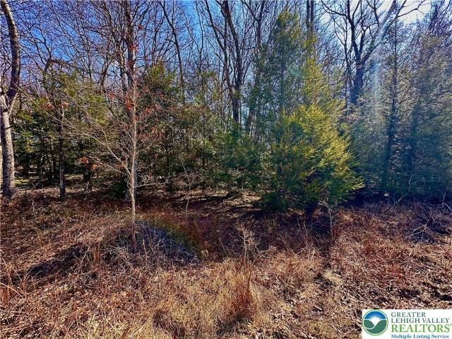 Property for sale in Carbon, Pennsylvania