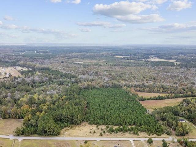 Land for sale in Nichols, South Carolina