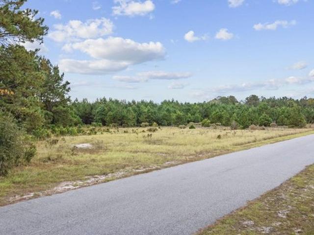 Land for sale in Nichols, South Carolina