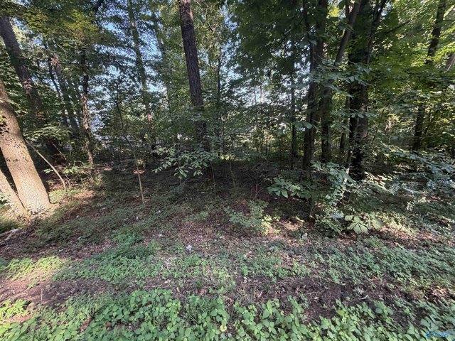 Land for sale in Guntersville, Alabama