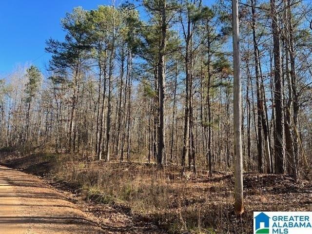 Land for sale in Ashland, Alabama