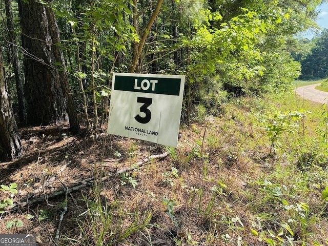 Land for sale in Ashland, Alabama
