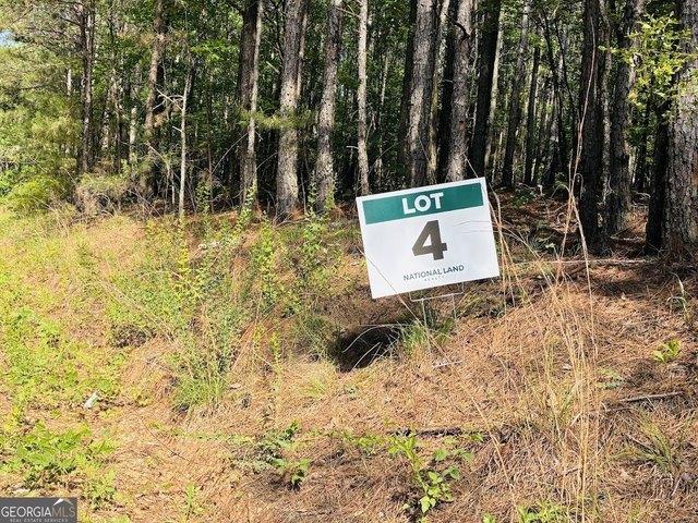 Land for sale in Ashland, Alabama
