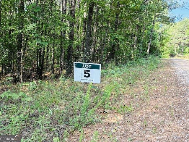 Land for sale in Ashland, Alabama
