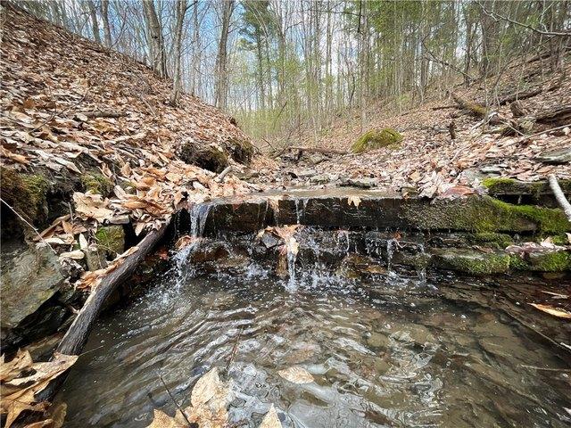 Land for sale in Richford, New York