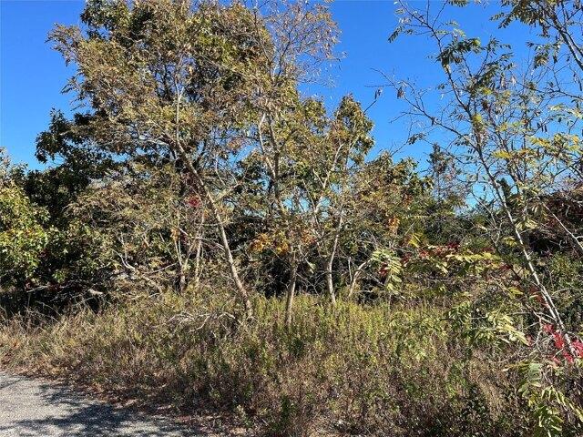 Land for sale in Wading River