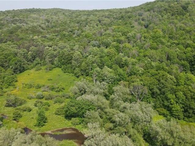Land for sale in Ellicottville