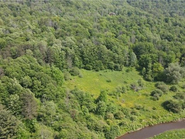 Land for sale in Ellicottville