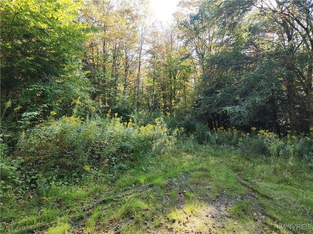 Land for sale in Ellicottville