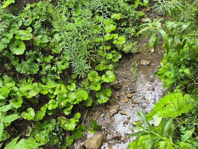 Land for sale in Chaffee, New York