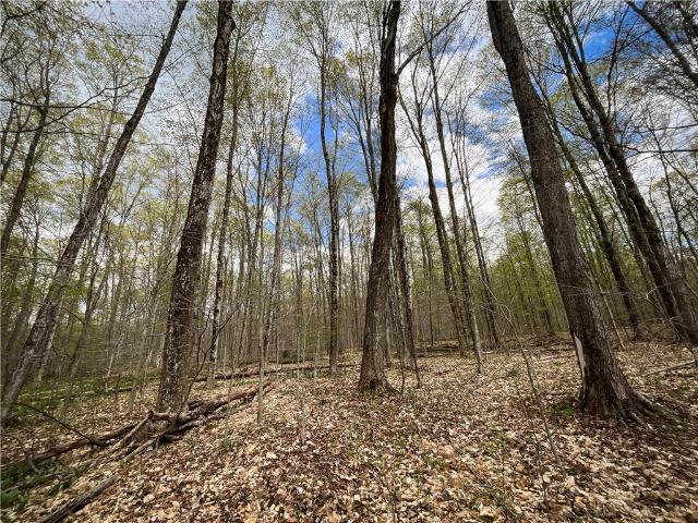 Land for sale in Richford, New York