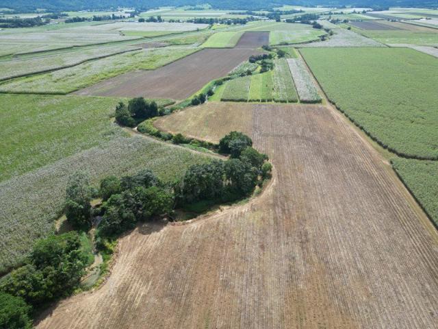 Land for sale in Birkalla, Queensland