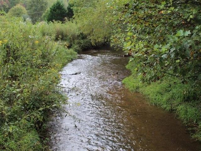 Land for sale in Brasstown, North Carolina