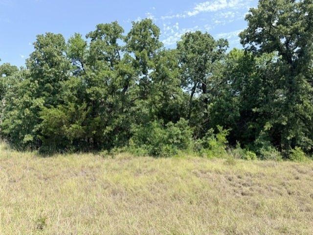 Land for sale in Bowie, Texas