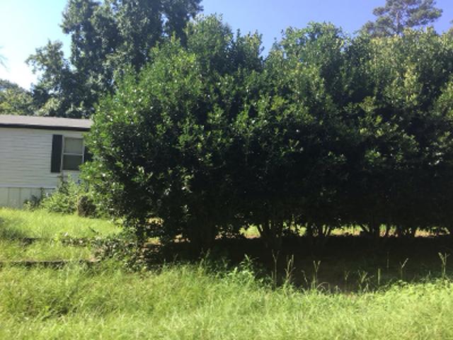 House for sale in Henderson, Texas
