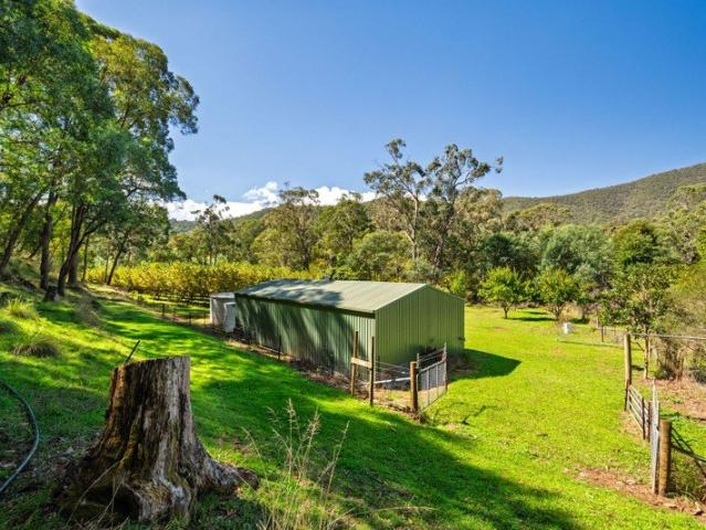 Land for sale in Wandiligong, Victoria
