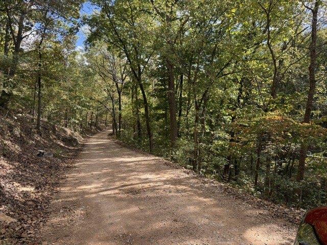 Land for sale in Pineville, McDonald County