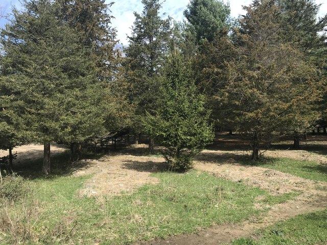 Land for sale in South Haven, Van Buren County