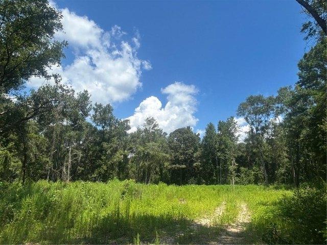 Land for sale in Mobile, Alabama