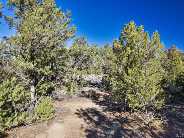 Land for sale in Fort Garland, Colorado