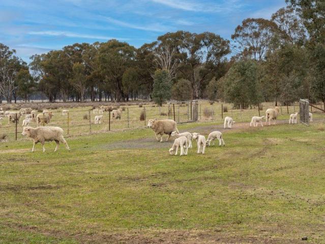 Cottage for sale in Pranjip, Victoria