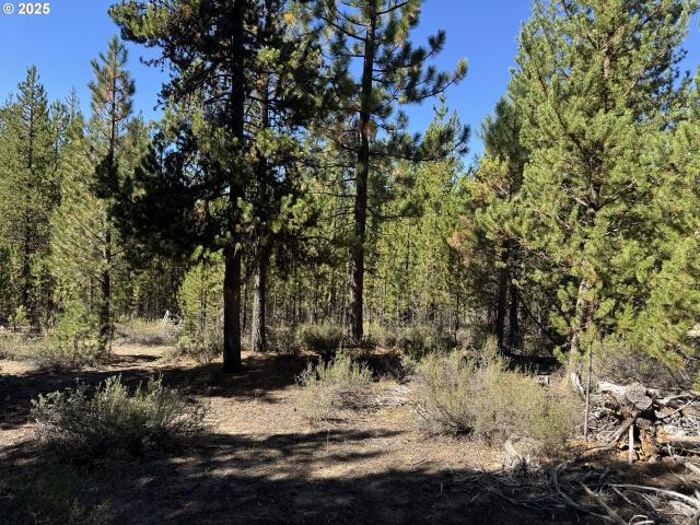 Land for sale in Oregonia