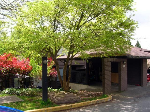 Apartment for rent in Coquitlam, British Columbia