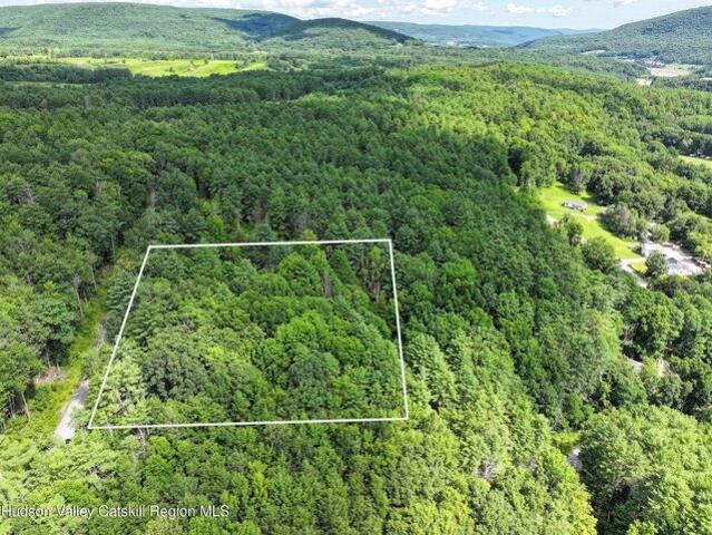 Land for sale in Gilboa, New York