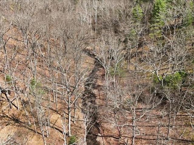 Land for sale in Romney, West Virginia