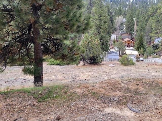 Land for sale in Big Bear Lake