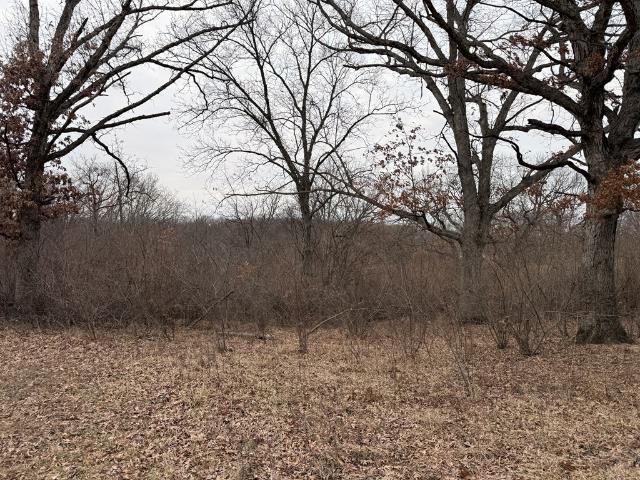 Land for sale in Adair, Missouri