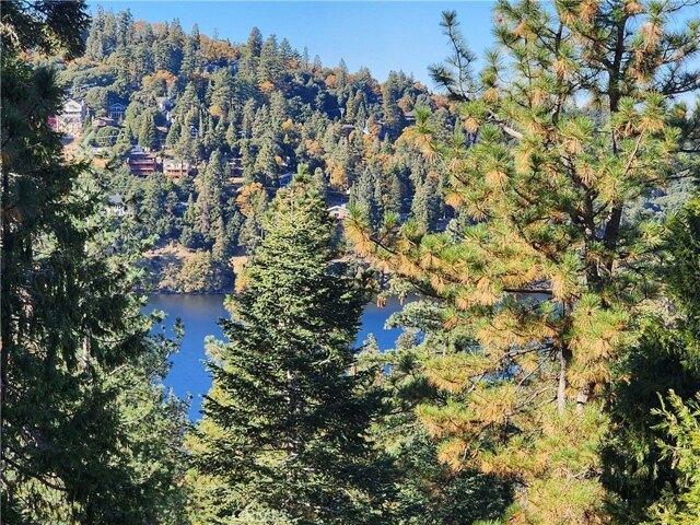 Land for sale in Cedarpines Park, California