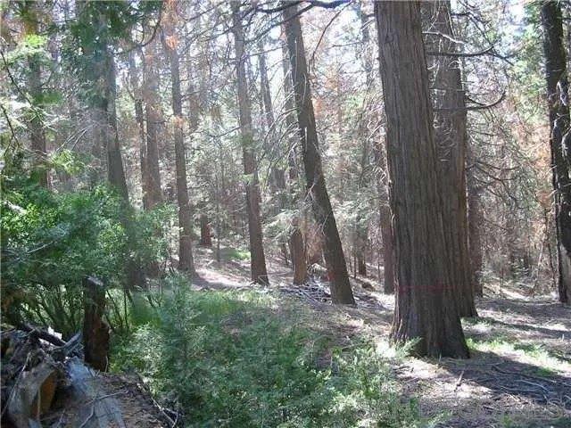 Land for sale in Palomar Mountain, California