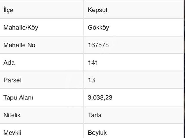 Gökköy, Kepsut içerisinde satılık Arsa
