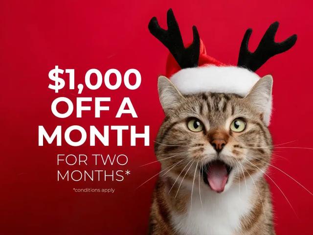 Apartment for rent in Strathcona, British Columbia