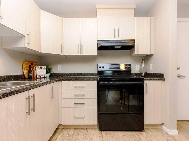 Apartment for rent in Strathcona, British Columbia