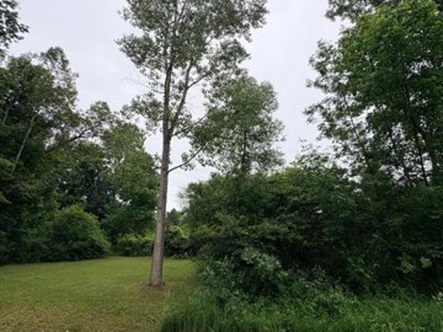 Land for sale in Laingsburg, Michigan