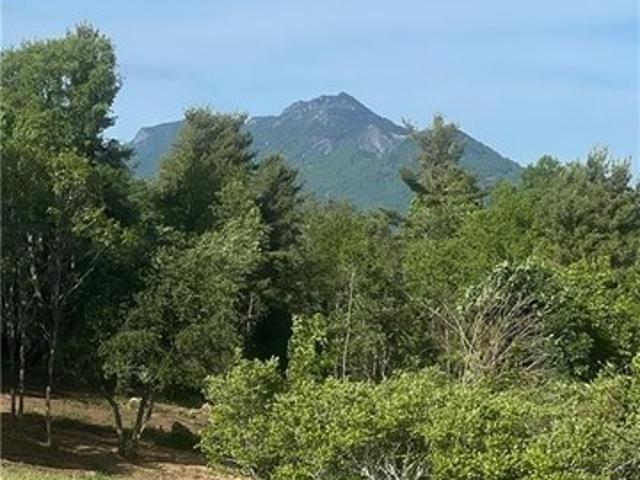 Land for sale in Avery, North Carolina