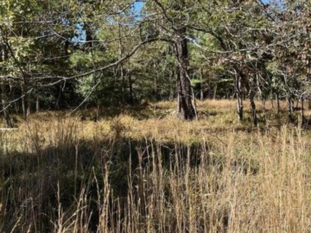 Land for sale in Blairsville, Union County