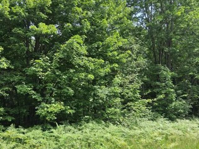 Land for sale in Mancelona, Michigan