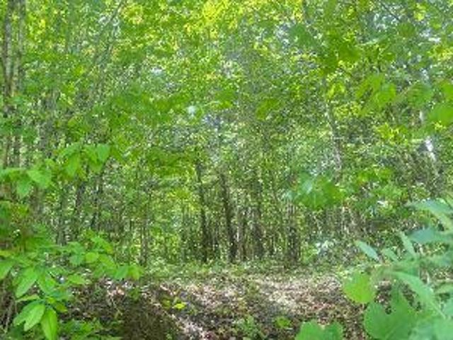 Land for sale in Tennessee