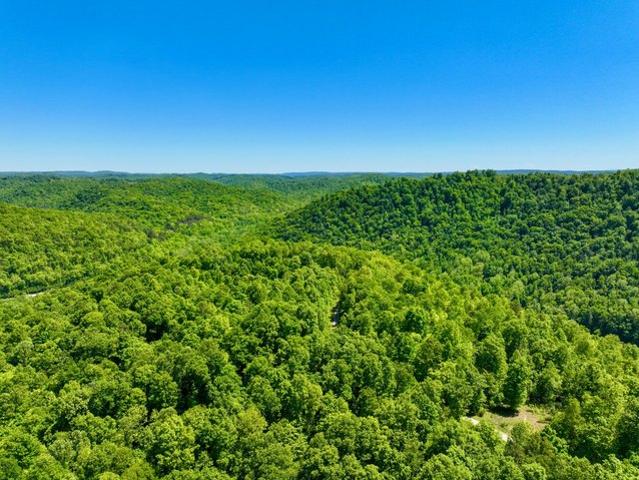 Land for sale in Tennessee