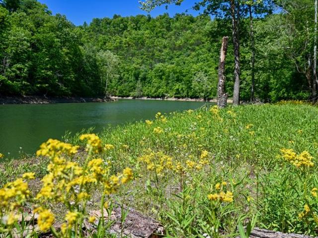Land for sale in Tennessee