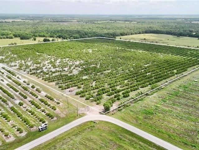 Land for sale in Zolfo Springs, Florida