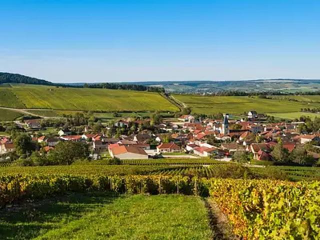 Terrain vente à Château-Thierry, Crézancy