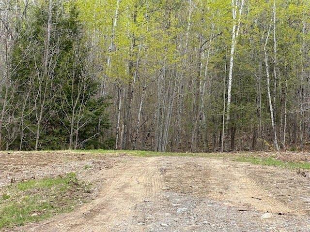 Land for sale in Waldo, Maine
