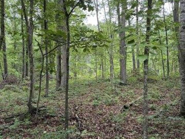 Land for sale in Virginia