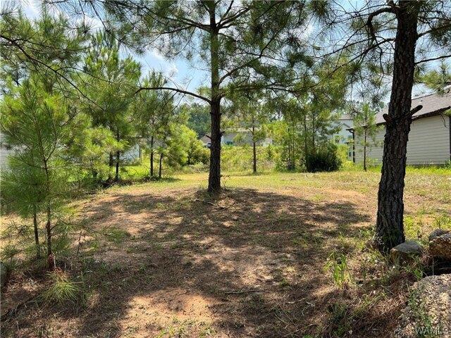 Land for sale in Brookwood