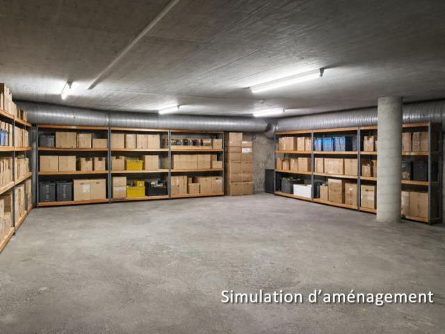 Apartment mieten in Crissier, Waadt